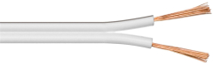 ICOC AU-BI25-ICIN_1